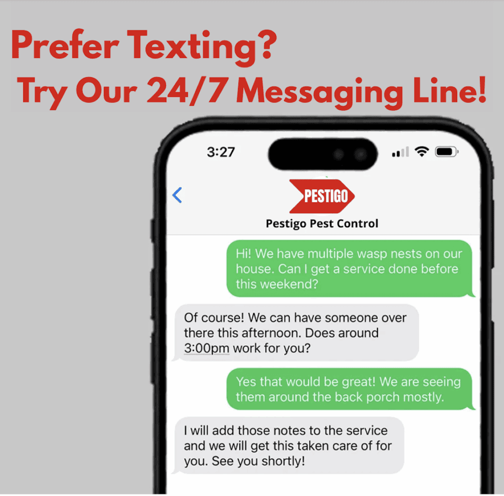 Pestigo Pest Control text line 24/7 dallas